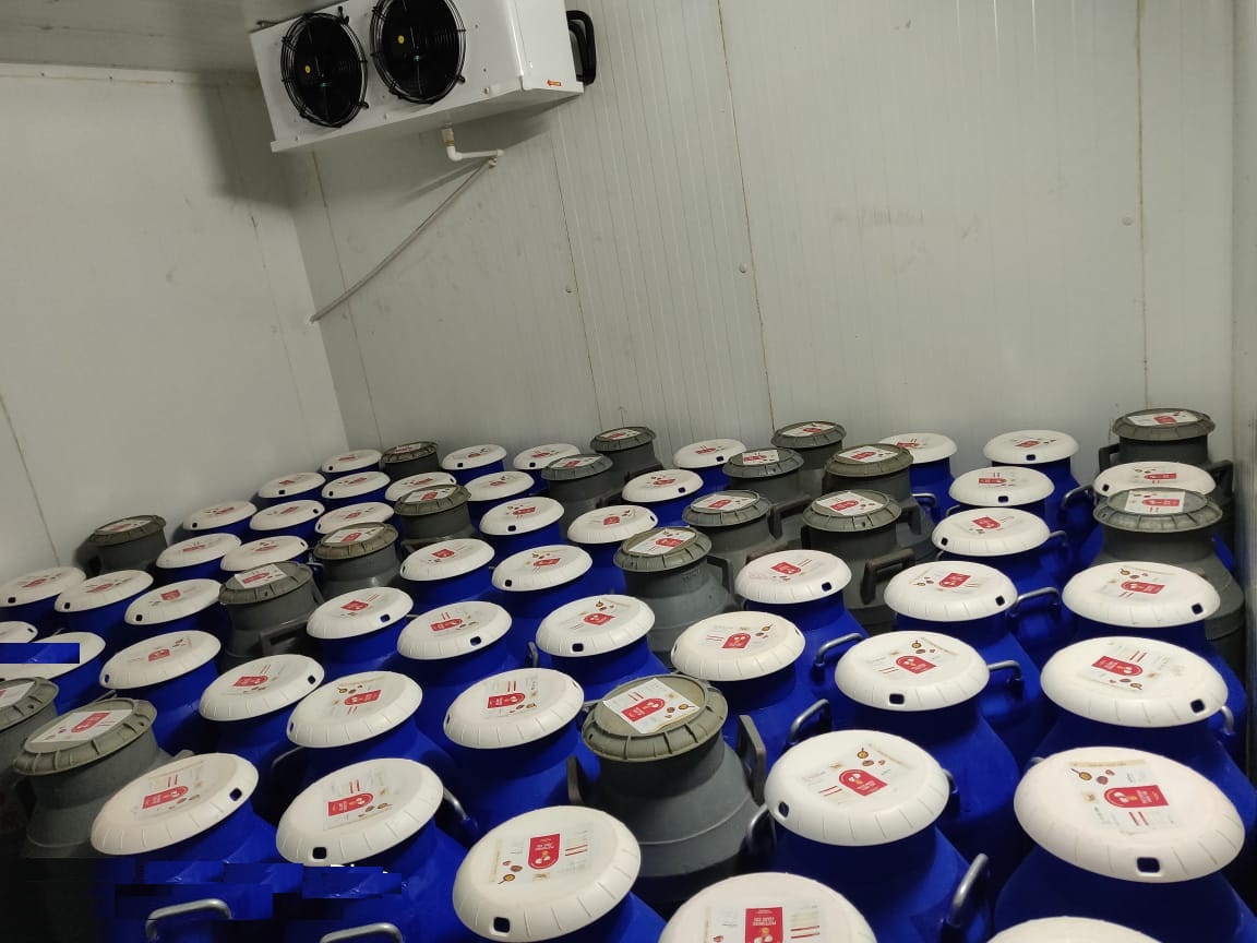 Pasteurized Liquid Eggs